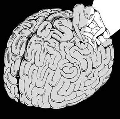 Cerebro 2
